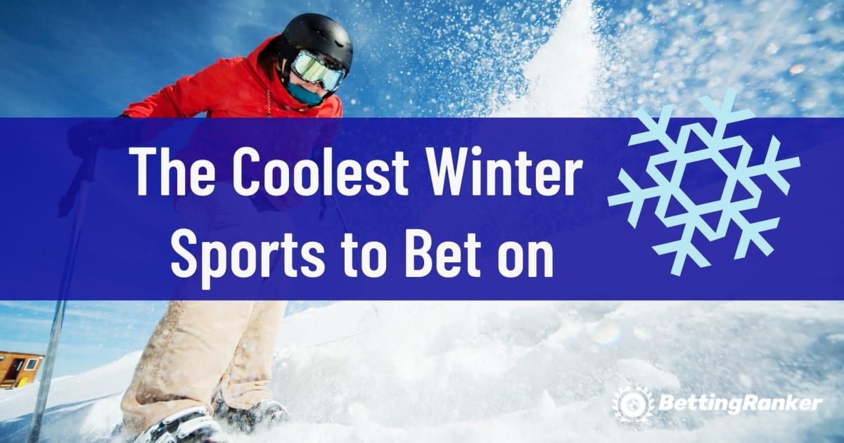 Bahis Yapılabilecek En Havalı Kış Sporları