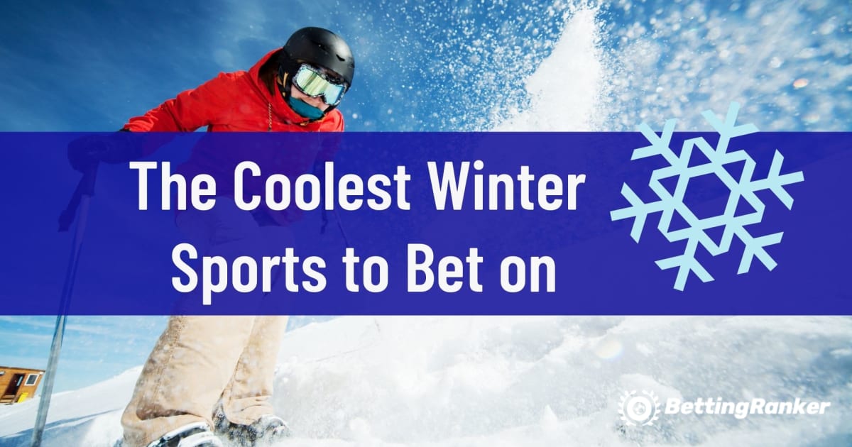 Bahis Yapılabilecek En Havalı Kış Sporları